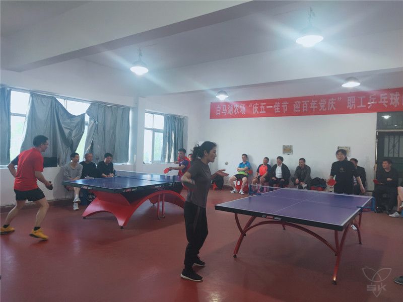 农场公司工会举办“庆五一佳节 迎百年党庆”职工乒乓球赛