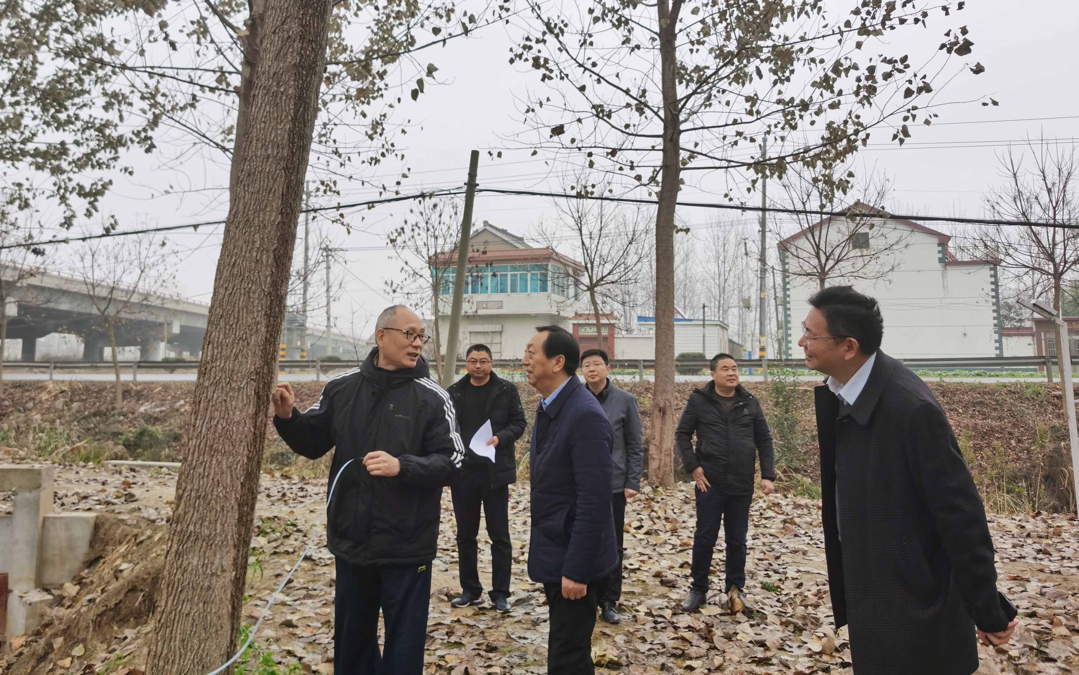 农场公司邀请南林大专家考察指导林业生产