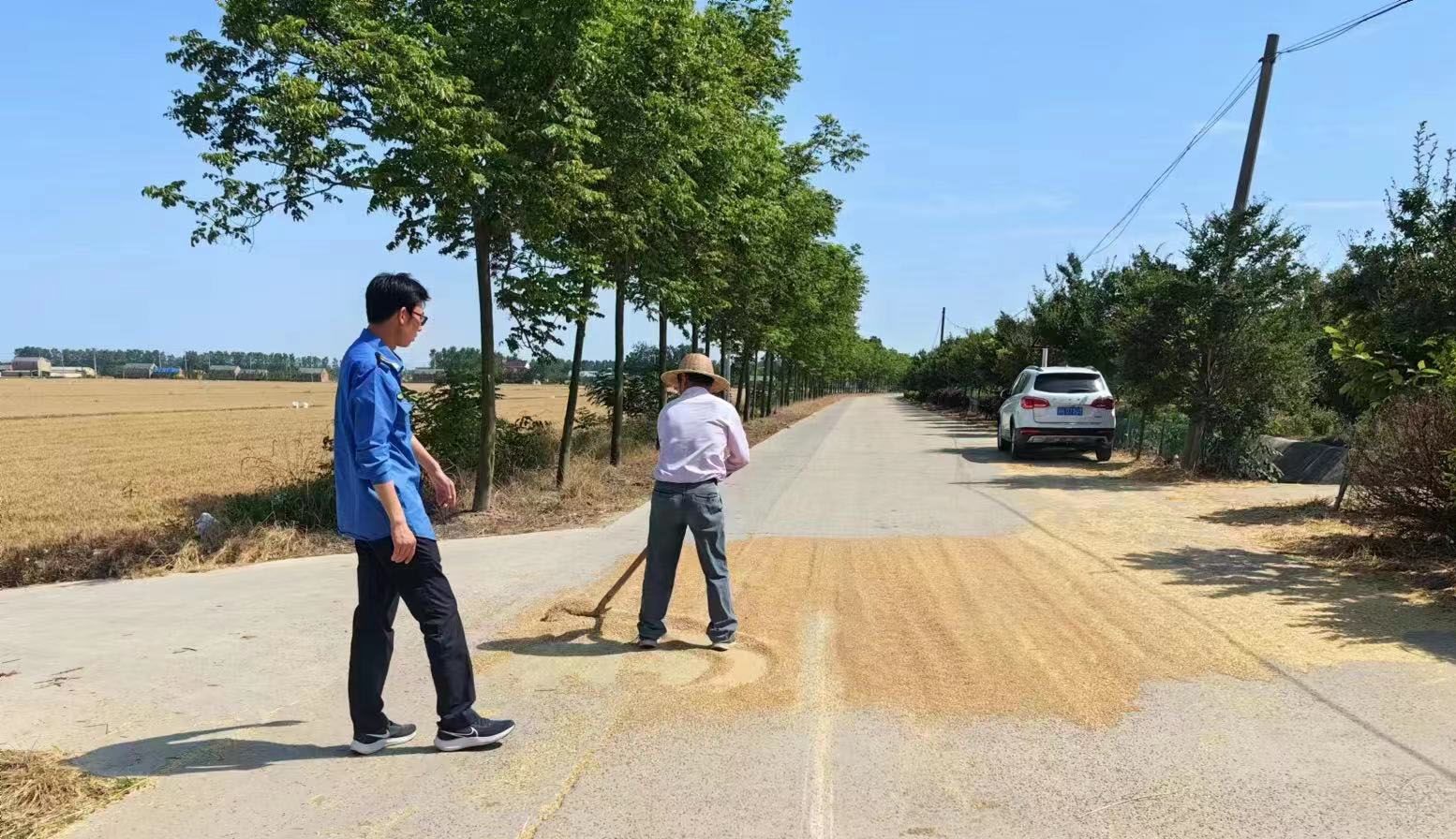 城管队、联防队：占道晒粮存隐患  联合清理保畅通